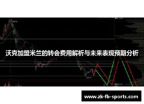 沃克加盟米兰的转会费用解析与未来表现预期分析